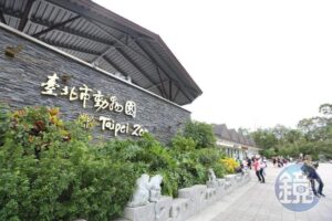 北市動物園門票確定漲價！　「全票60元→100元」上路時間曝光