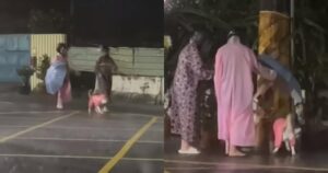 柴柴颱風天堅持外出上廁所　奴才捨命陪犬！網紅苦主嘆PTSD