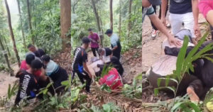 農曆七月上山亂叫！女犯大忌「中邪」如獸低吼　3男拉不住悚片曝