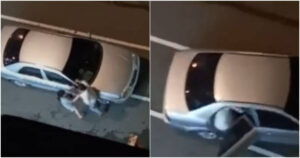 台中怨偶街頭大吵！前女友油門一催…他「雙腳還在車外」下場超驚悚